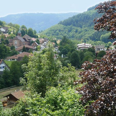 Apartamento Schnurrenhof Seebach Exterior foto