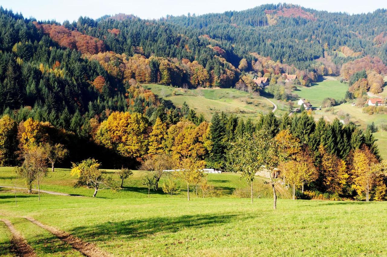 Apartamento Schnurrenhof Seebach Exterior foto